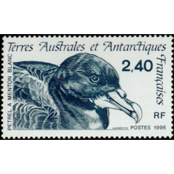 TAAF 204 **