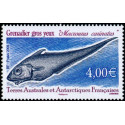TAAF 505 **
