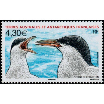 https://agerberphilatelie.fr/48132-thickbox/taaf-553.jpg