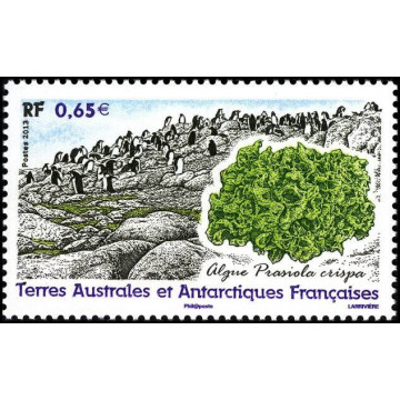 https://agerberphilatelie.fr/48184-thickbox/taaf-648.jpg