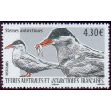 TAAF 725 **