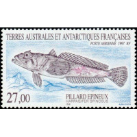 TAAF A 145 ** A.GERBER Philatélie timbres DOM TOM Poste Aérienne PA 