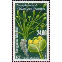 TAAF A 146 ** A.GERBER Philatélie timbres DOM TOM Poste Aérienne PA 