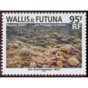 WF 597/00 **