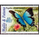 WF 641/42 **