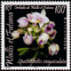 Wallis et Futuna - 648 **