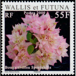 WF 713/16 **