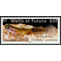 WF 717/18 **