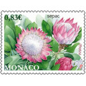 mona 2934 **