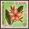 WF A 049/55 **