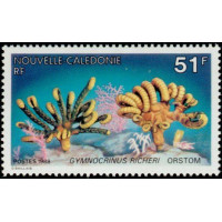 NCA 0557 ** A.GERBER Philatélie timbres DOM TOM Nouvelle Calédonie NCA