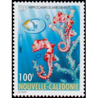NCA 0740 ** A.GERBER Philatélie timbres DOM TOM Nouvelle Calédonie NCA