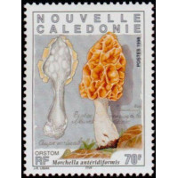 NCA 0749/51 ** A.GERBER Philatélie timbres DOM TOM Nouvelle Calédonie NCA
