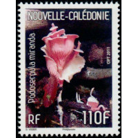 NCA 1126 ** A.GERBER Philatélie timbres DOM TOM Nouvelle Calédonie NCA