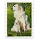 3283/86 ** A.GERBER Philatélie France - timbres Colonies