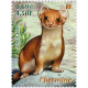 3381/84 ** A.GERBER Philatélie France - timbres Colonies