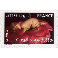 3804/05 ** A.GERBER Philatélie France - timbres Colonies