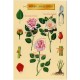 BLOC 24 A.GERBER Philatélie France - timbres Colonies