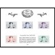BS 21/30 - 2016 A.GERBER Philatélie France - timbres Colonies