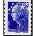 Adhésif 179 à 182