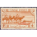 tunis 271 **