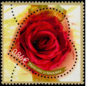 andfr 639 **