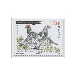 Prod-92272