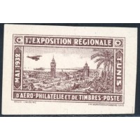 TUN306 - Vignette - ** - 1ère expo régio d'aéro philatélique mai 1932 - En brun 