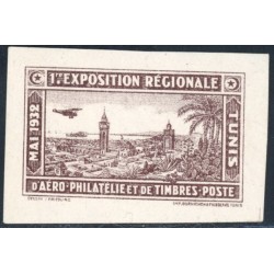 TUN306 - Vignette - ** - 1ère expo régio d'aéro philatélique mai 1932 - En brun 