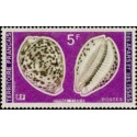 afa 443 **