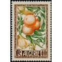 alg 281 *