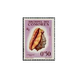 como 019 *
