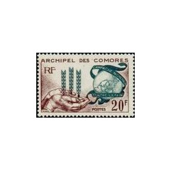como 026 **
