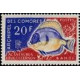 como 047 **