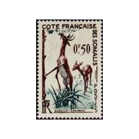 cdso 289 **