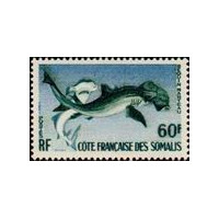 cdso 302 **