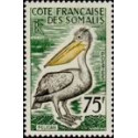 Cote des Somalis - 303 **