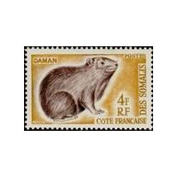 cdso 306 **