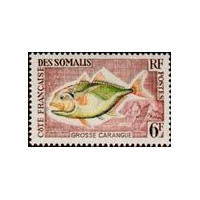 cdso 307 *