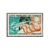 cdso 324 **
